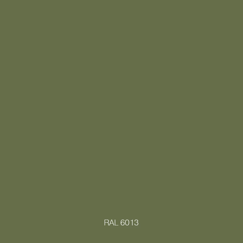 RAL 6013